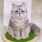 Handmade Personalized Cat & Dog Figurine Gift