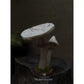 Woodland Mushroom Needle Felting Kit