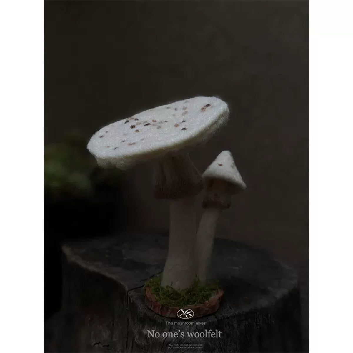 Woodland Mushroom Needle Felting Kit