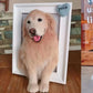 Custom Needle Felted Pet Memorial Portrait Frame