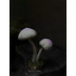 Woodland Mushroom Needle Felting Kit