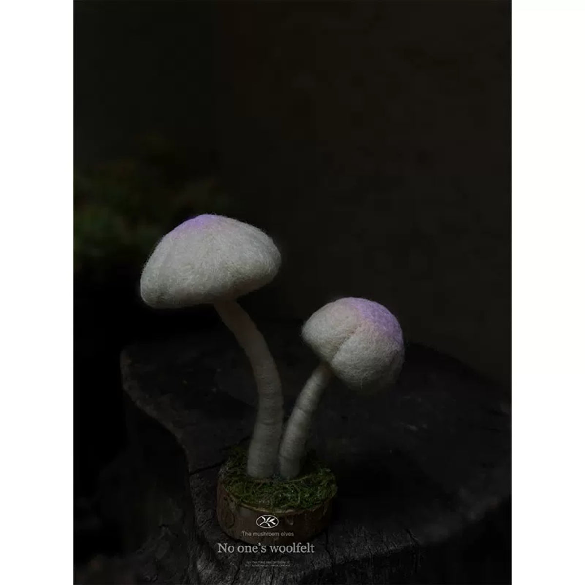 Woodland Mushroom Needle Felting Kit