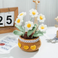 Hand-Woven Flower Bouquet DIY Kit — Featuring Miniature Potted Lotus, Sunflowers, and Handcrafted Crocheted Roses
